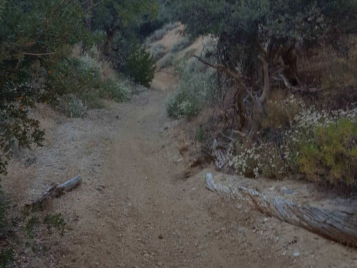 Trail 22 photo 4