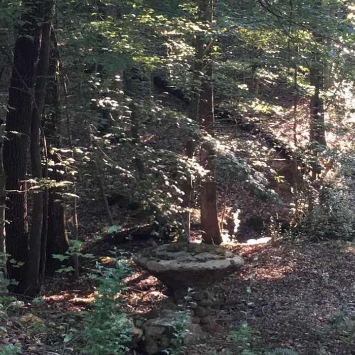 Near Buckeye Loop
