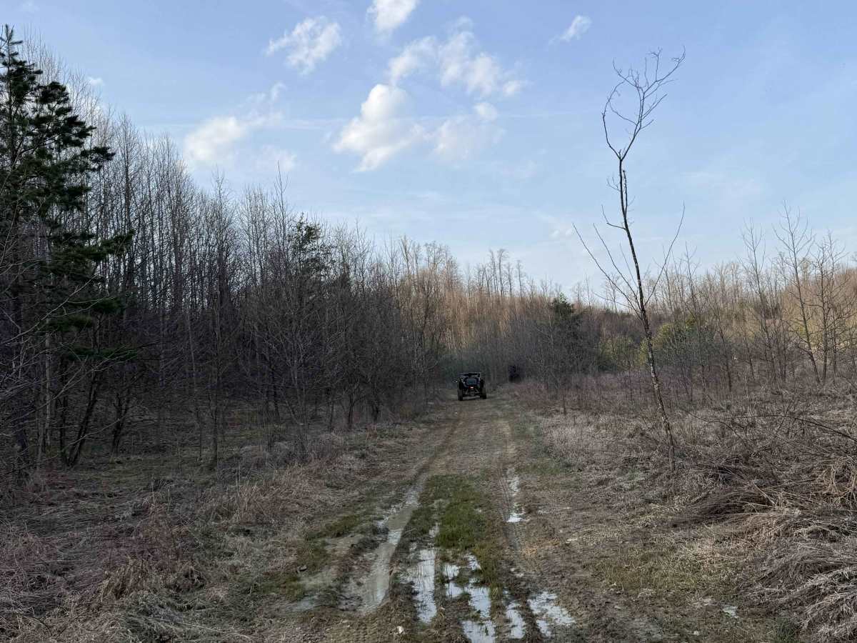 Q26 photo 3