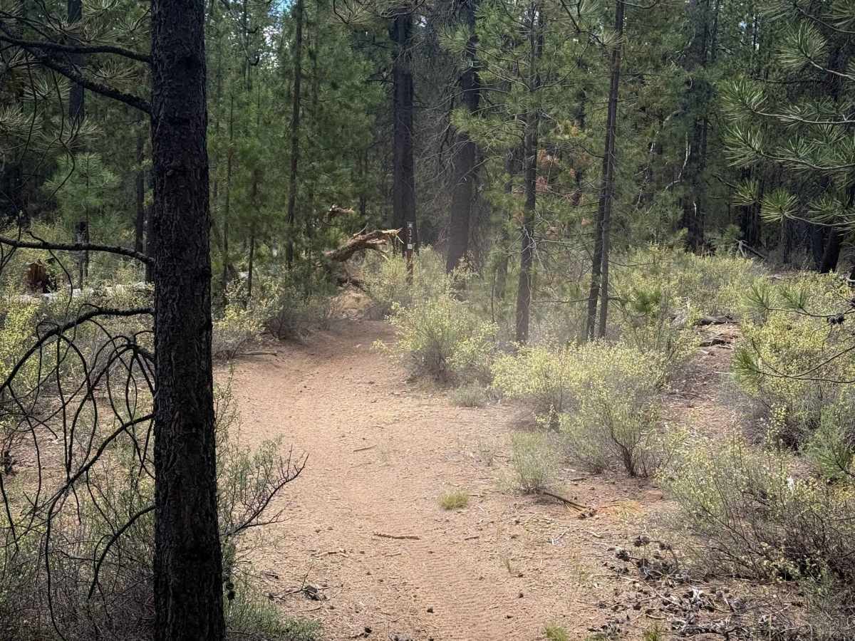 Trail 37  photo 3