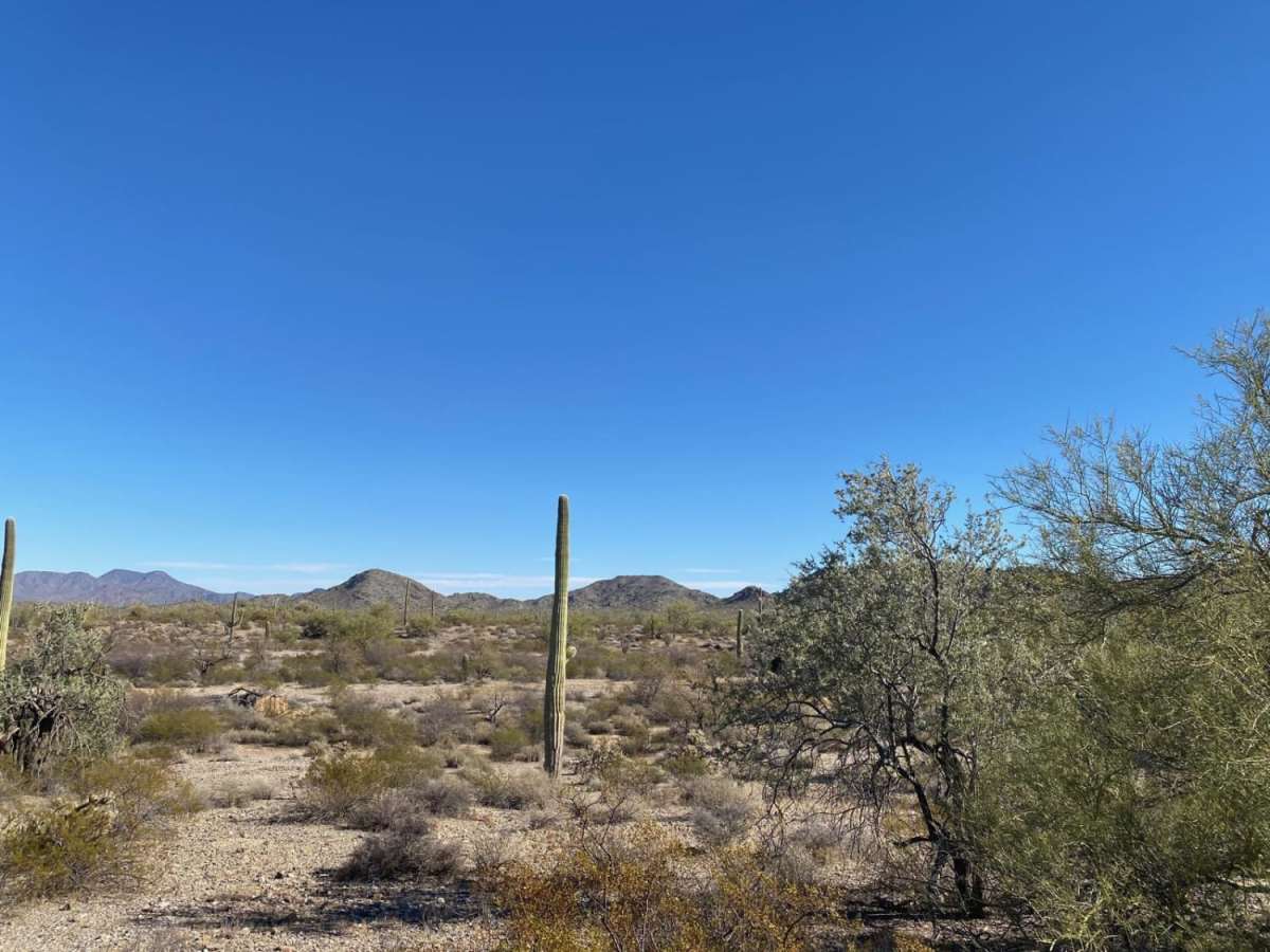 Sonoran Desert 8009 trail photo