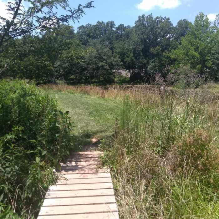 Near Dairy Farm Trail