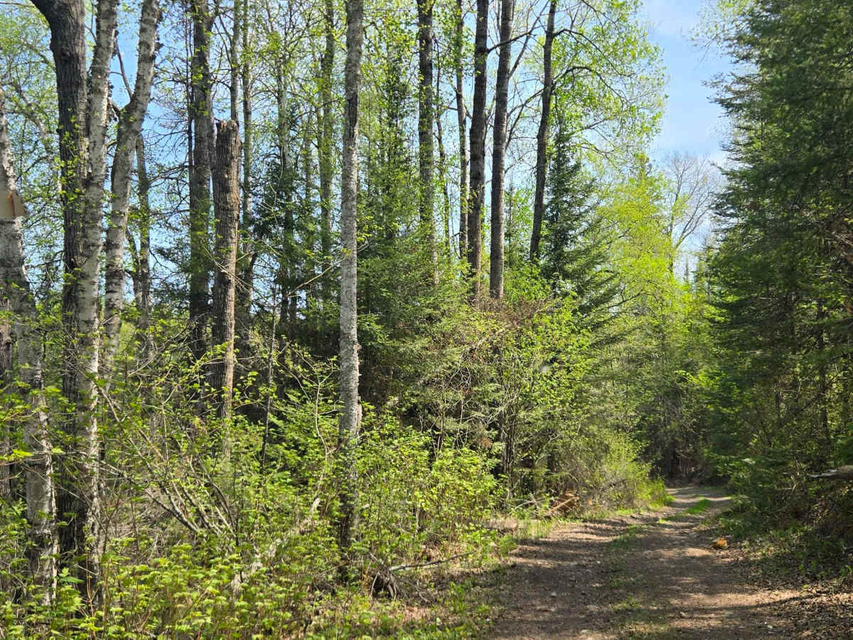 Wringer Lake Road photo 4