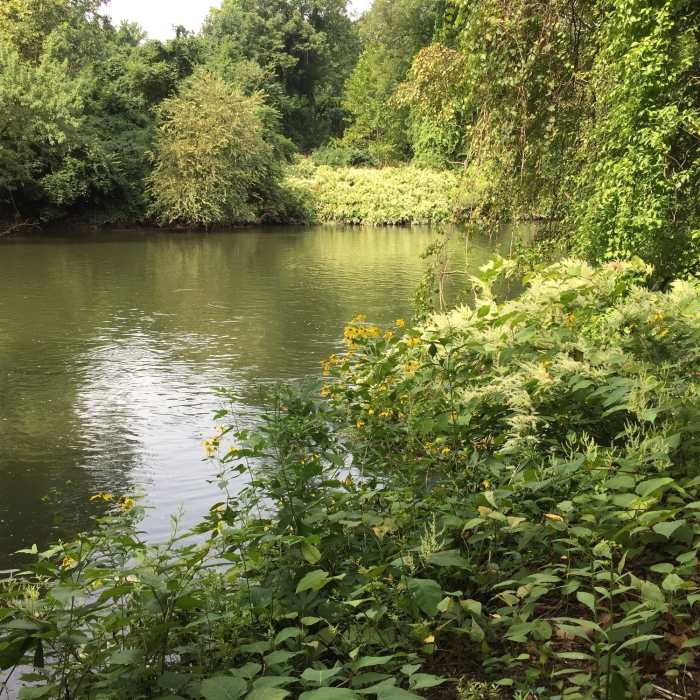 Near Exeter Scenic River Trail