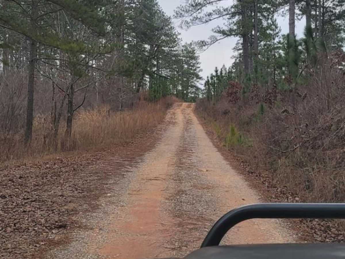 USFSR #532 trail photo