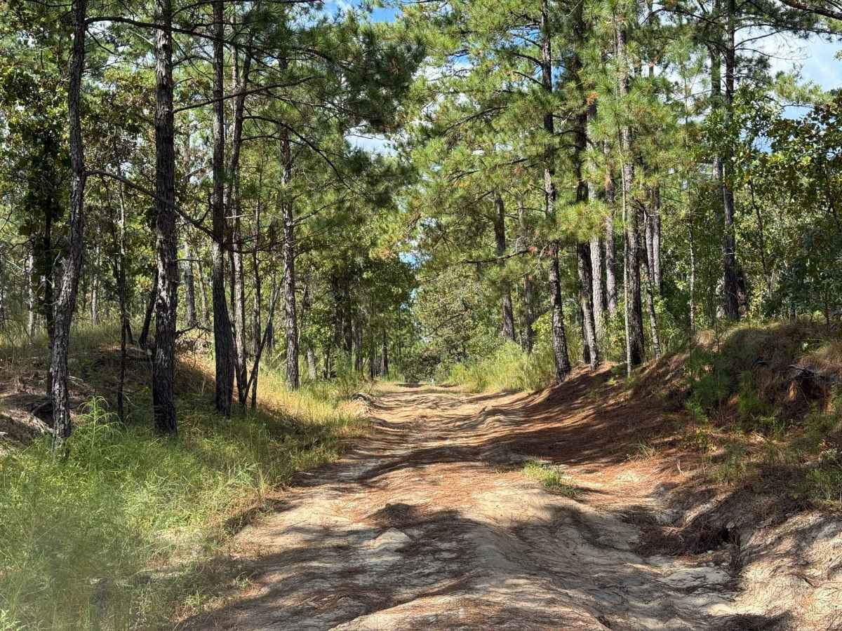 Naked Creek Lane photo 6