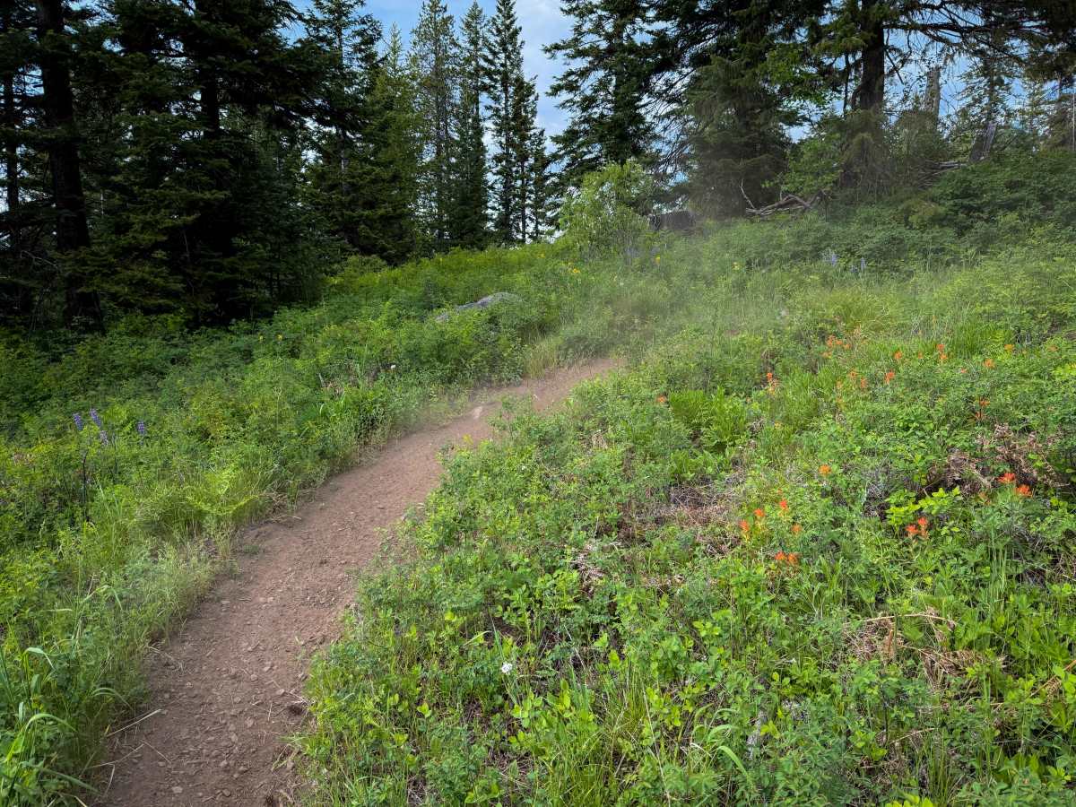Hillside Ride - Trail 327  photo 6