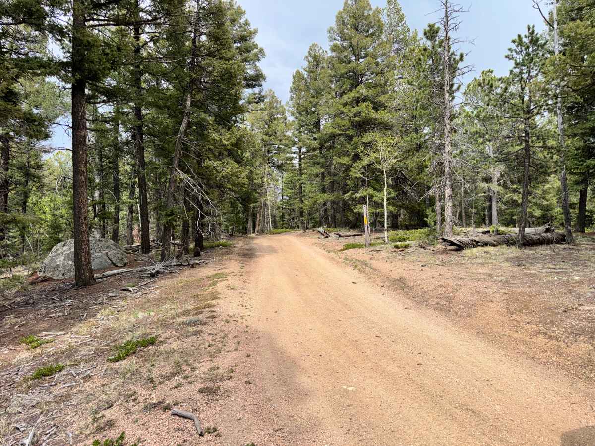 County Line Rd (FS324B) trail photo