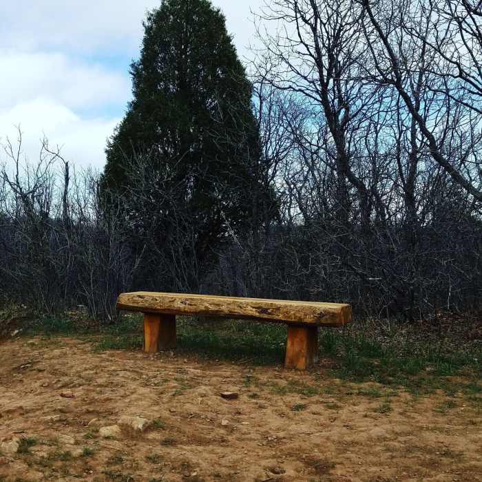 Near Section 16/Palmer Loop