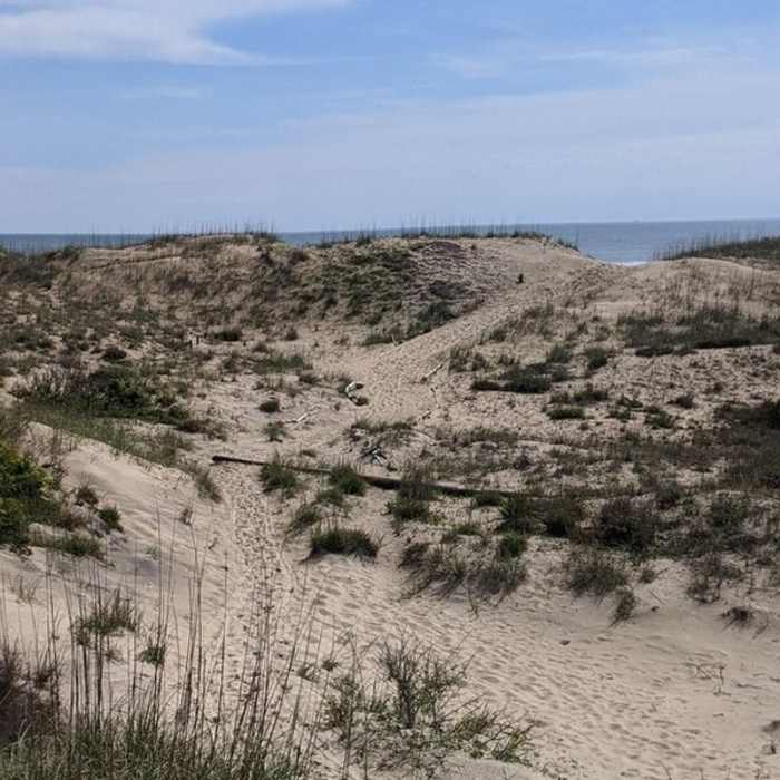 Near East Dike Trail