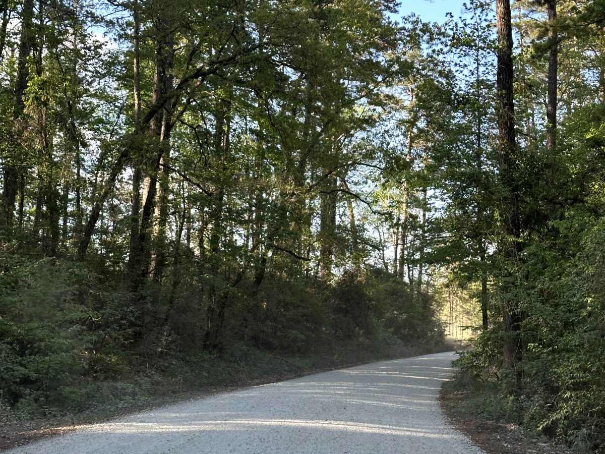 County Road 1165 photo 2