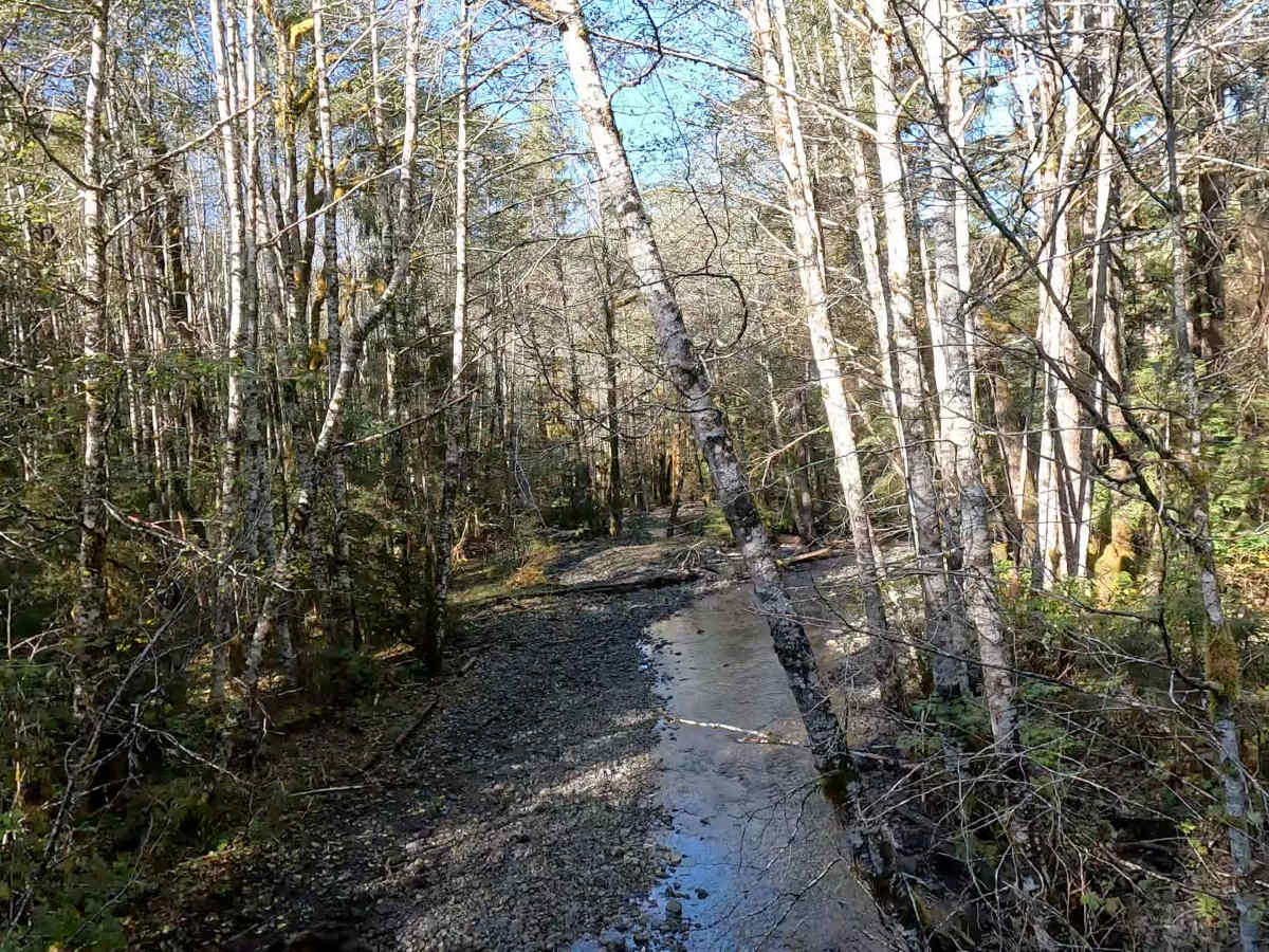 Echo Spur Road - FS 3015600 photo 6