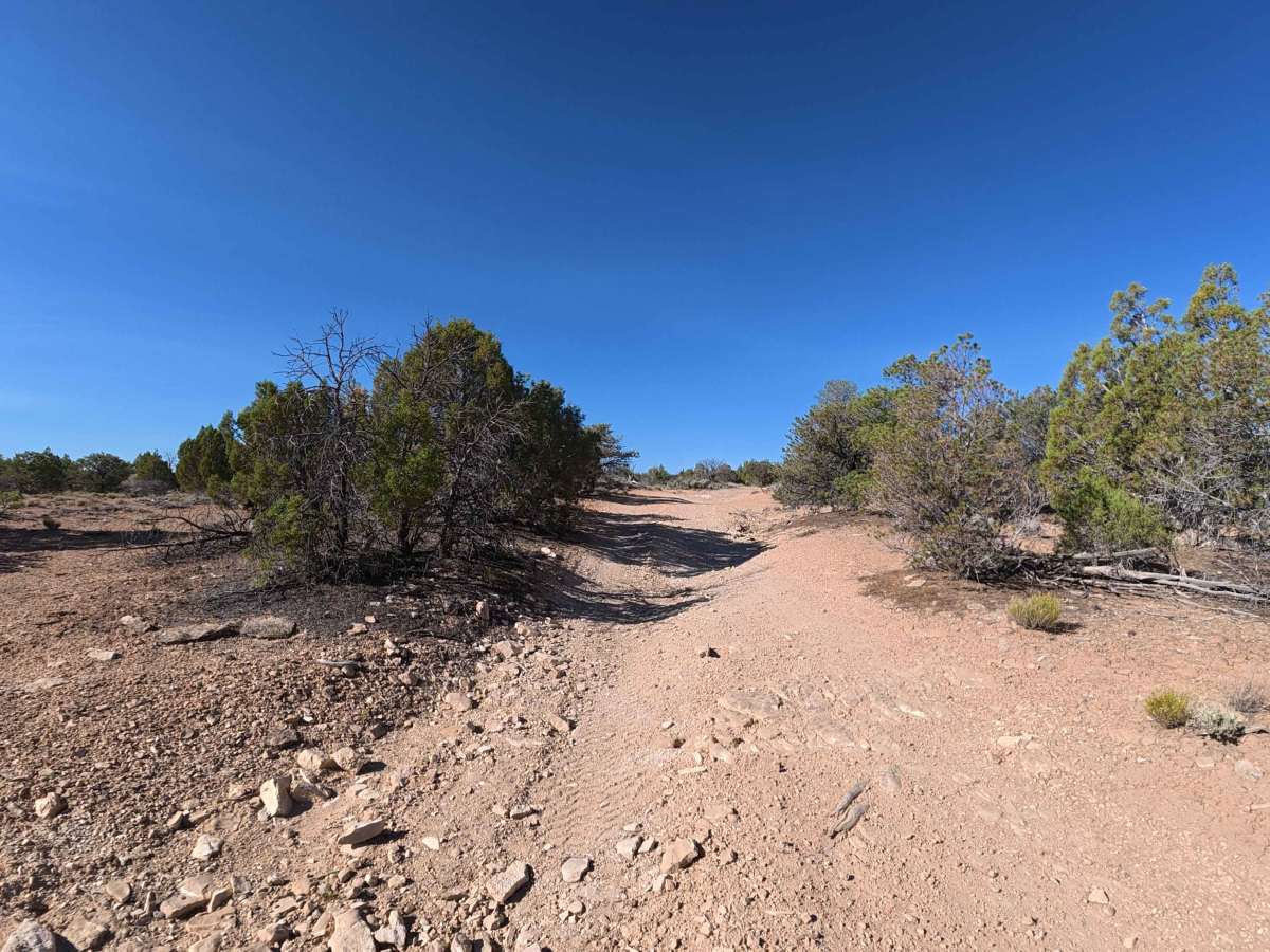 Ben Lowe Road - BLM 860 photo 5