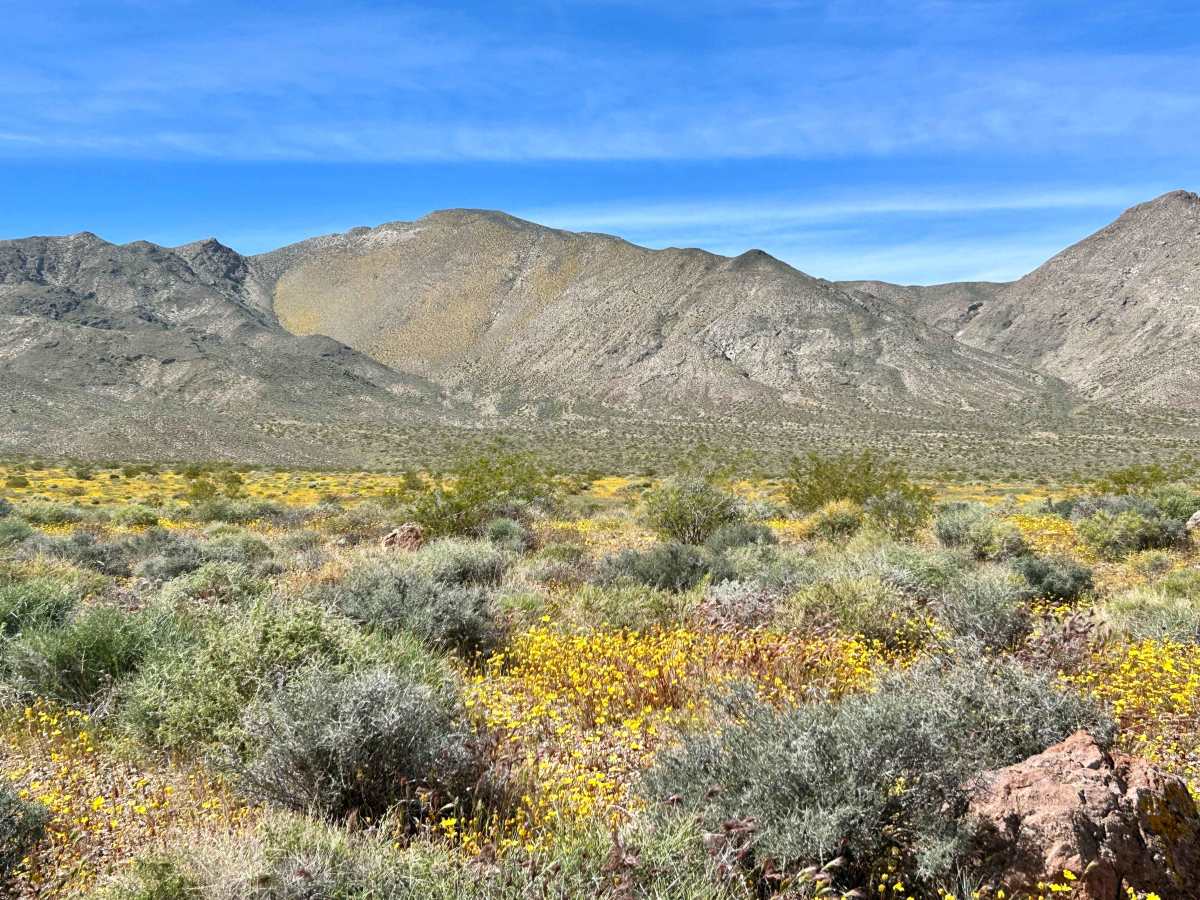 Gold Valley Road - Willow Spring Spur photo 5