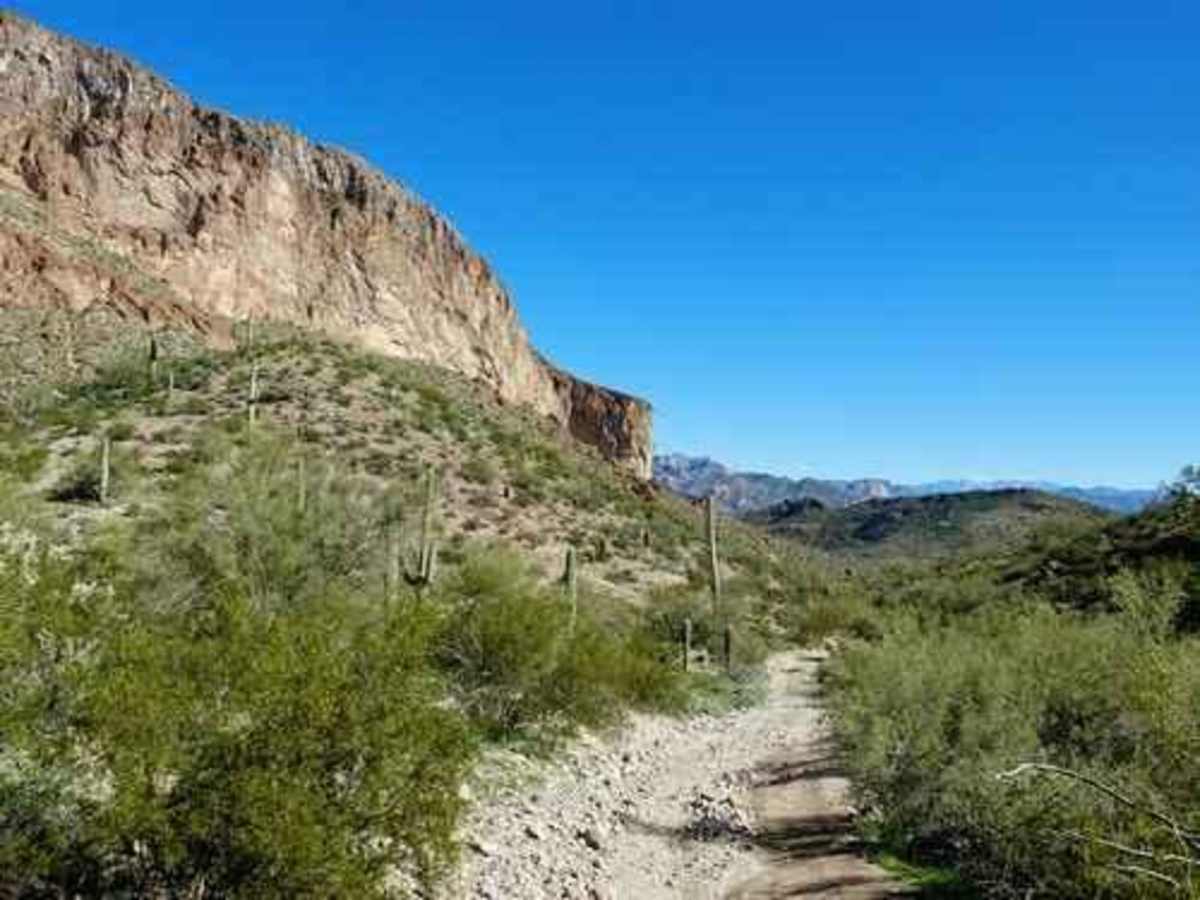 South of Gila River photo 2