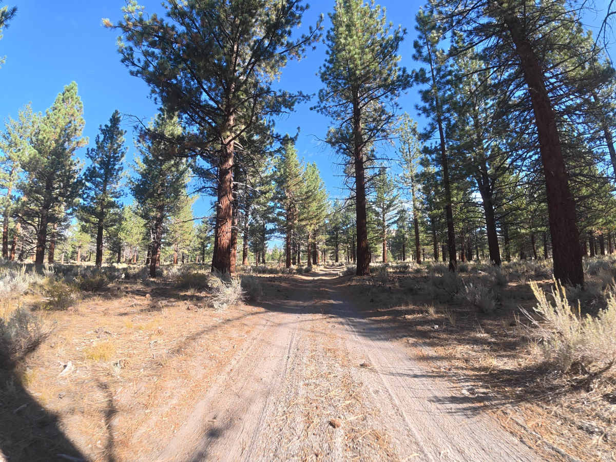 Dry Creek Draw - FS 2S36 trail photo