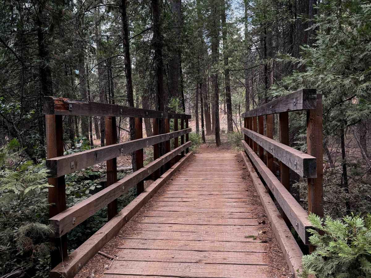 Loop 1 trail photo