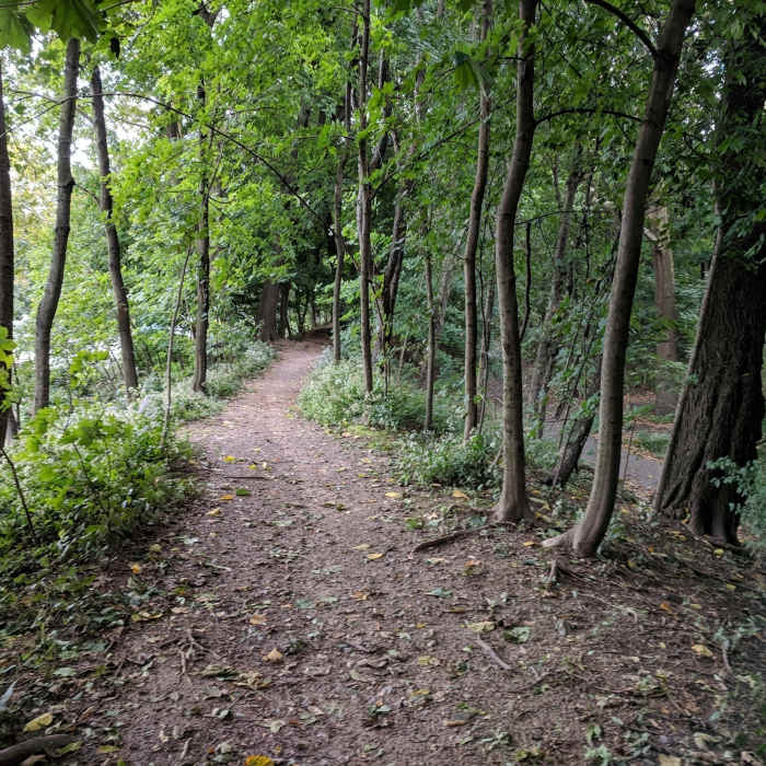 Near Prospect Park Trail Loop