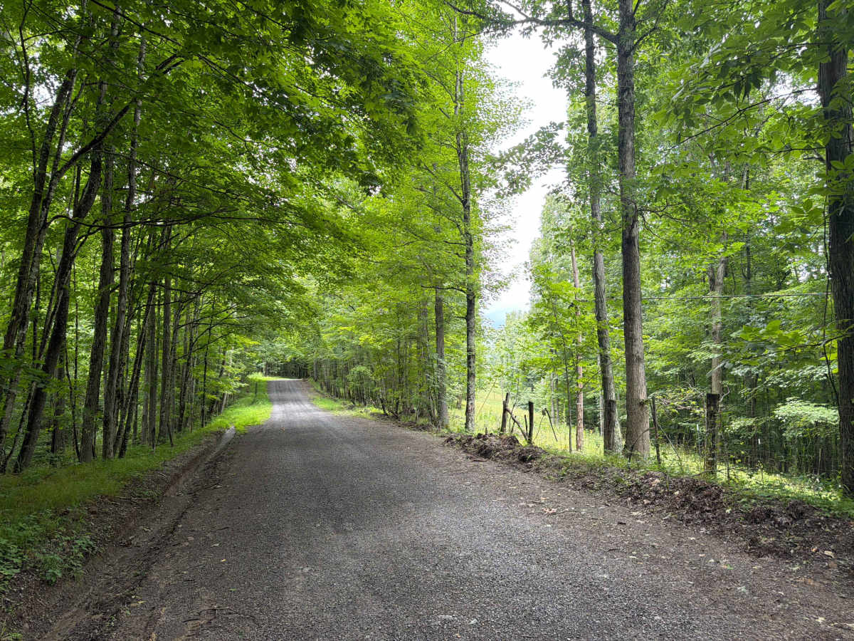 George Hill Road photo 4