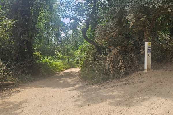 Trail 27