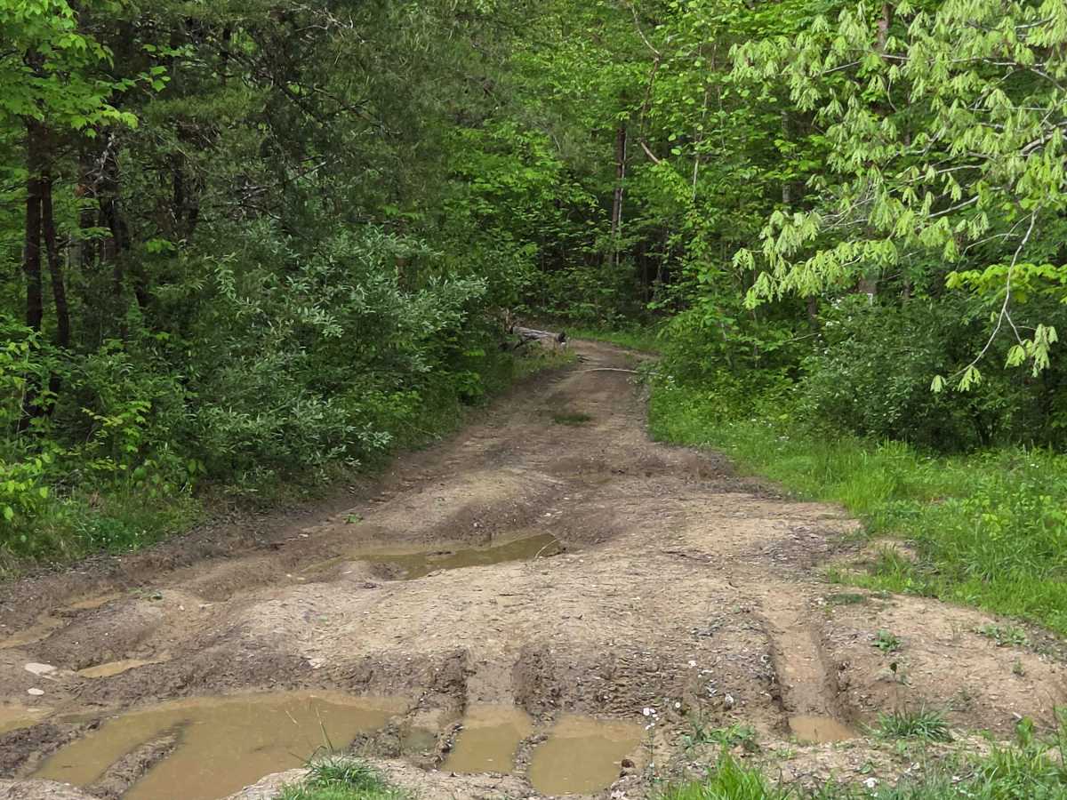 County Line/Brandenburg Road photo 4