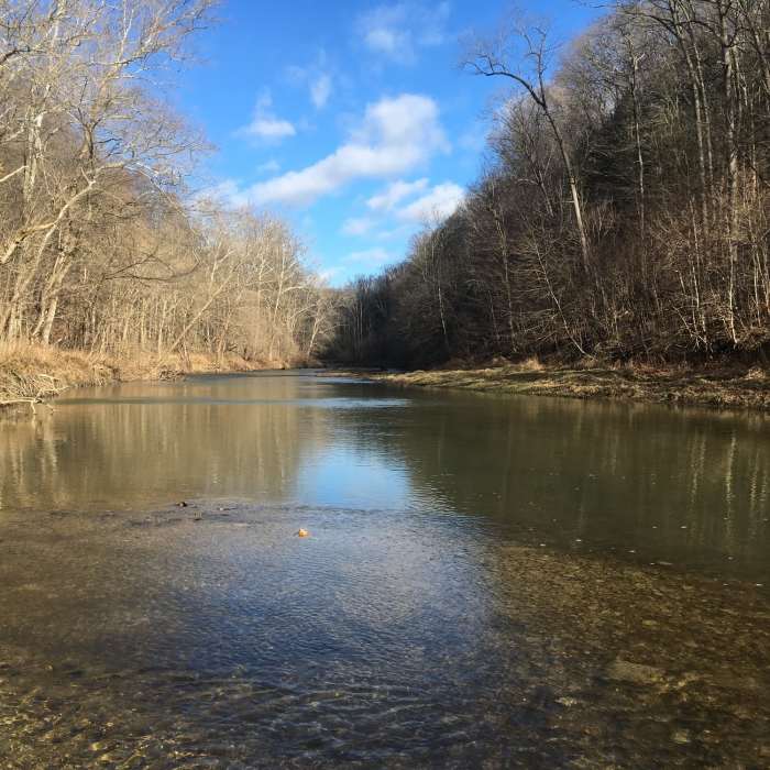 Near Tall Timbers Nature Trail