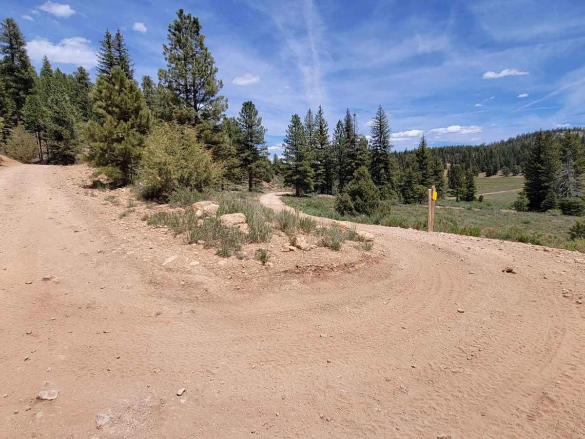 Markagunt Plateau Connector trail photo