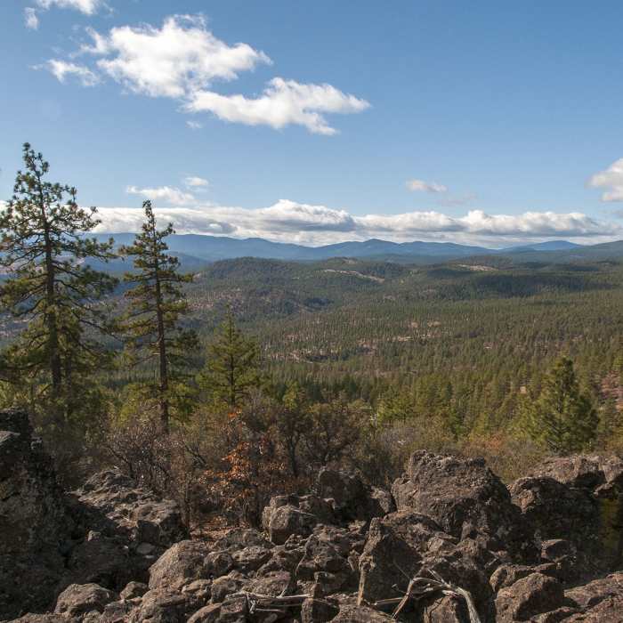 Near Lava Flow