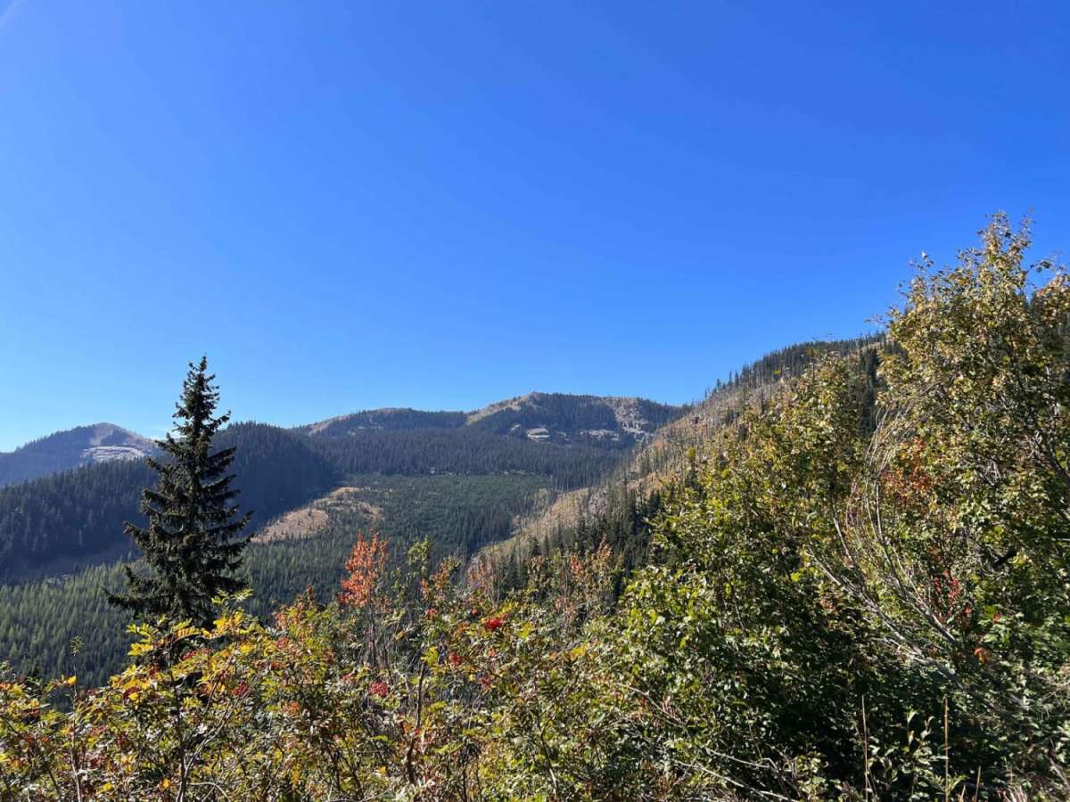North Branch of Martin Creek trail photo