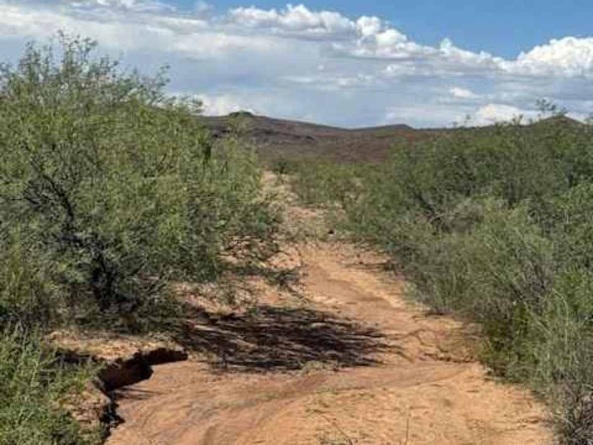 BLM PE1126 photo 2