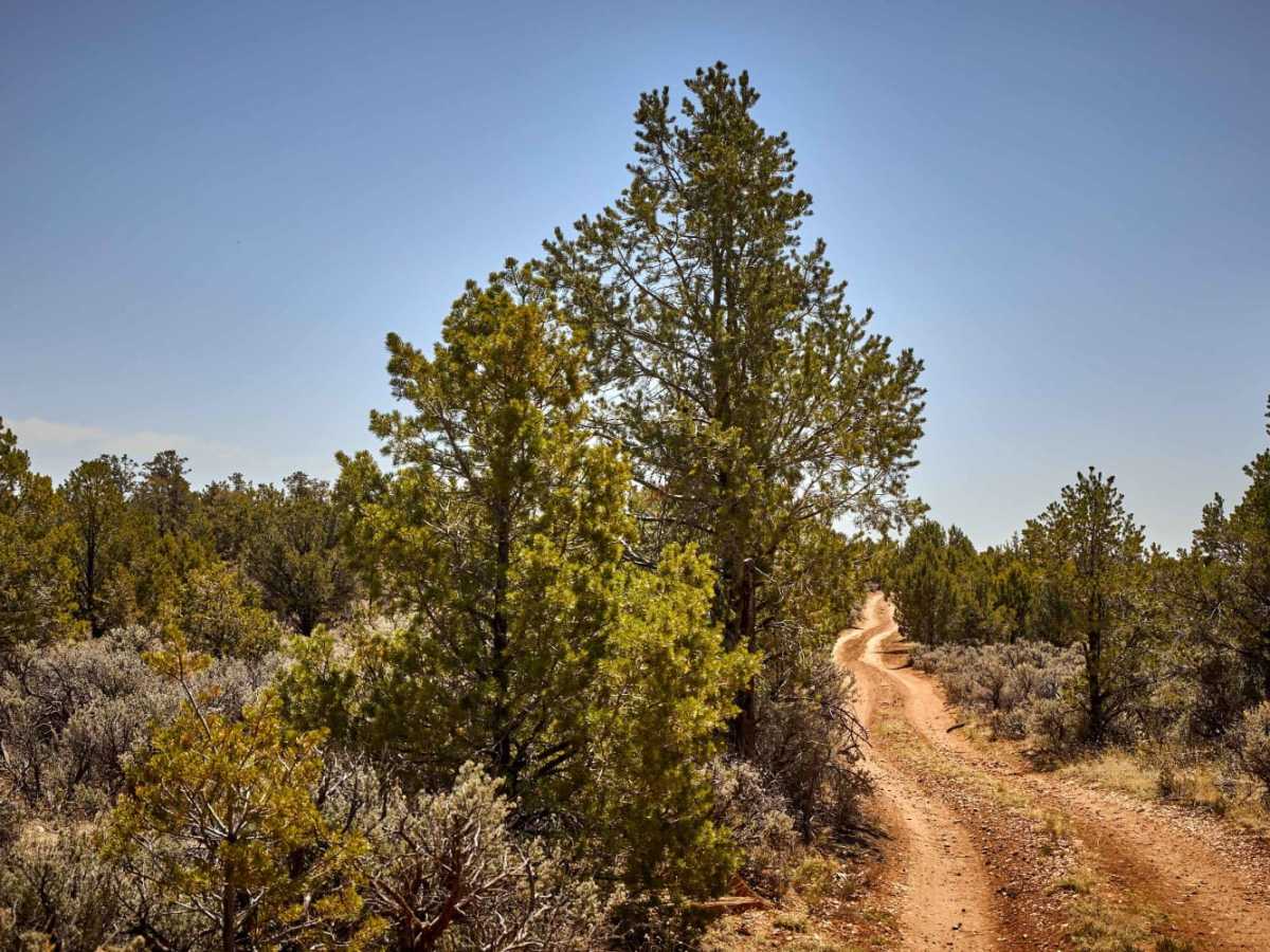 7 Mile Tank Road photo 4