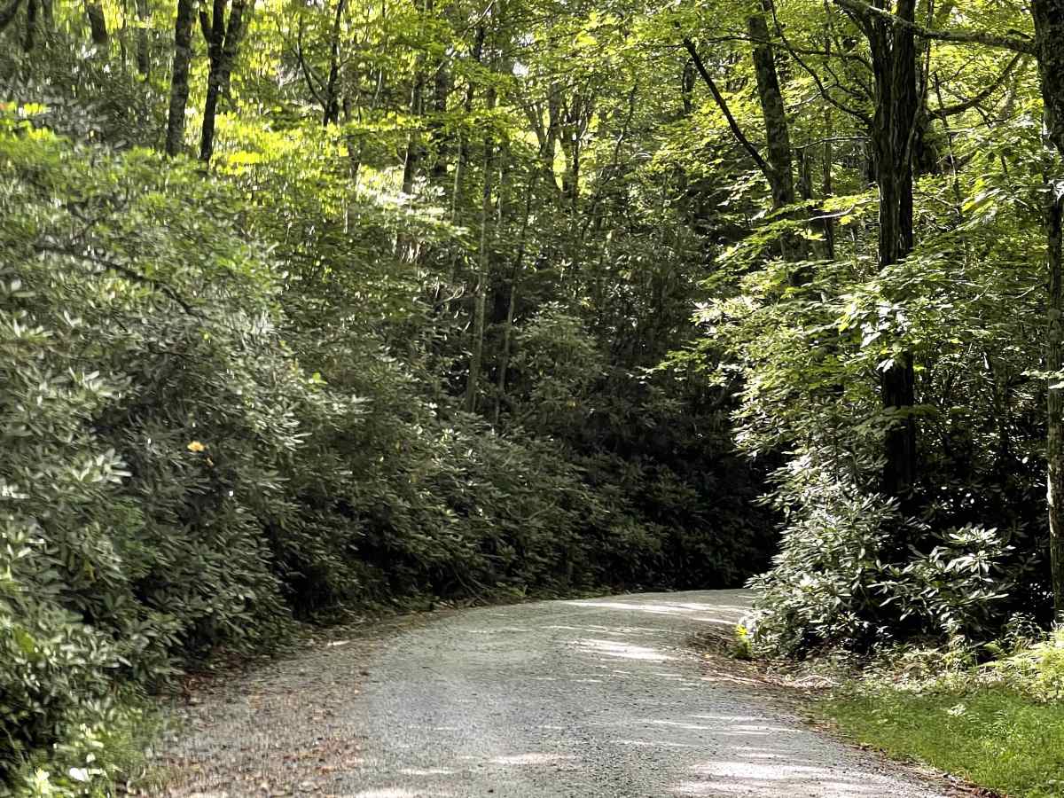 Carroll Gragg Road photo 4