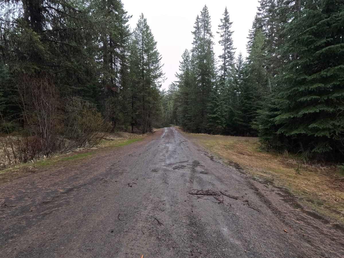 Palmer Junction - FS 6231 photo 3