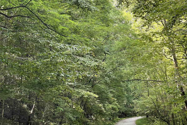 White Rocks Campground