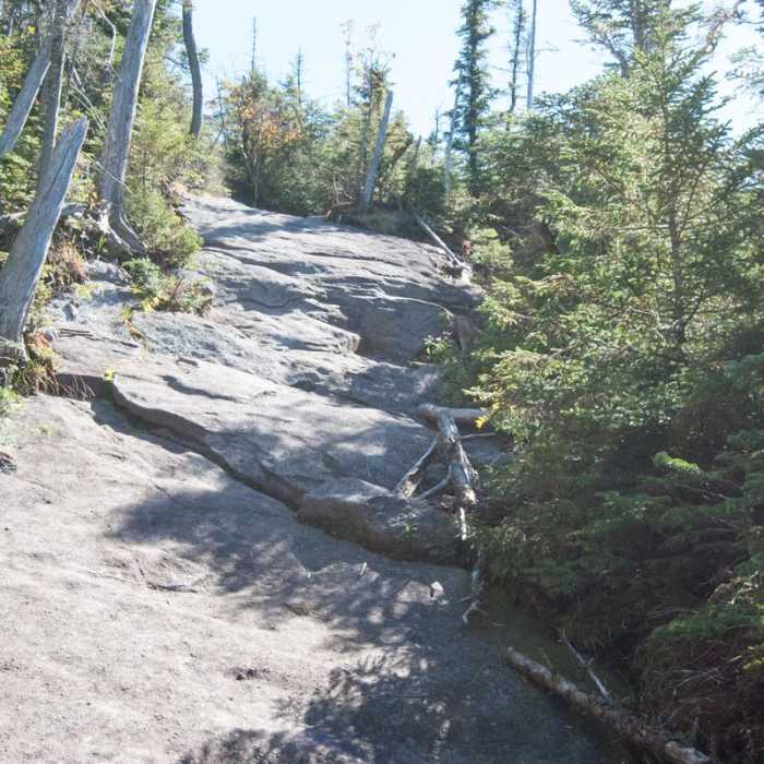 Near The MacIntyre Range Hike Near The MacIntyre Range Hike