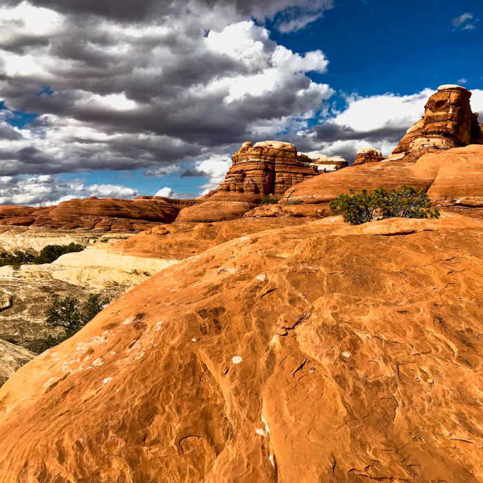 Near Big Spring Canyon