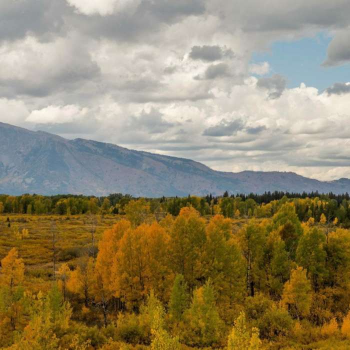 Near Lunch Tree Hill