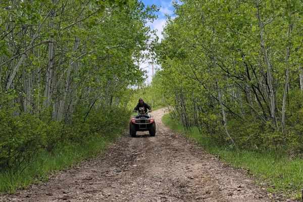 Stewart Trail