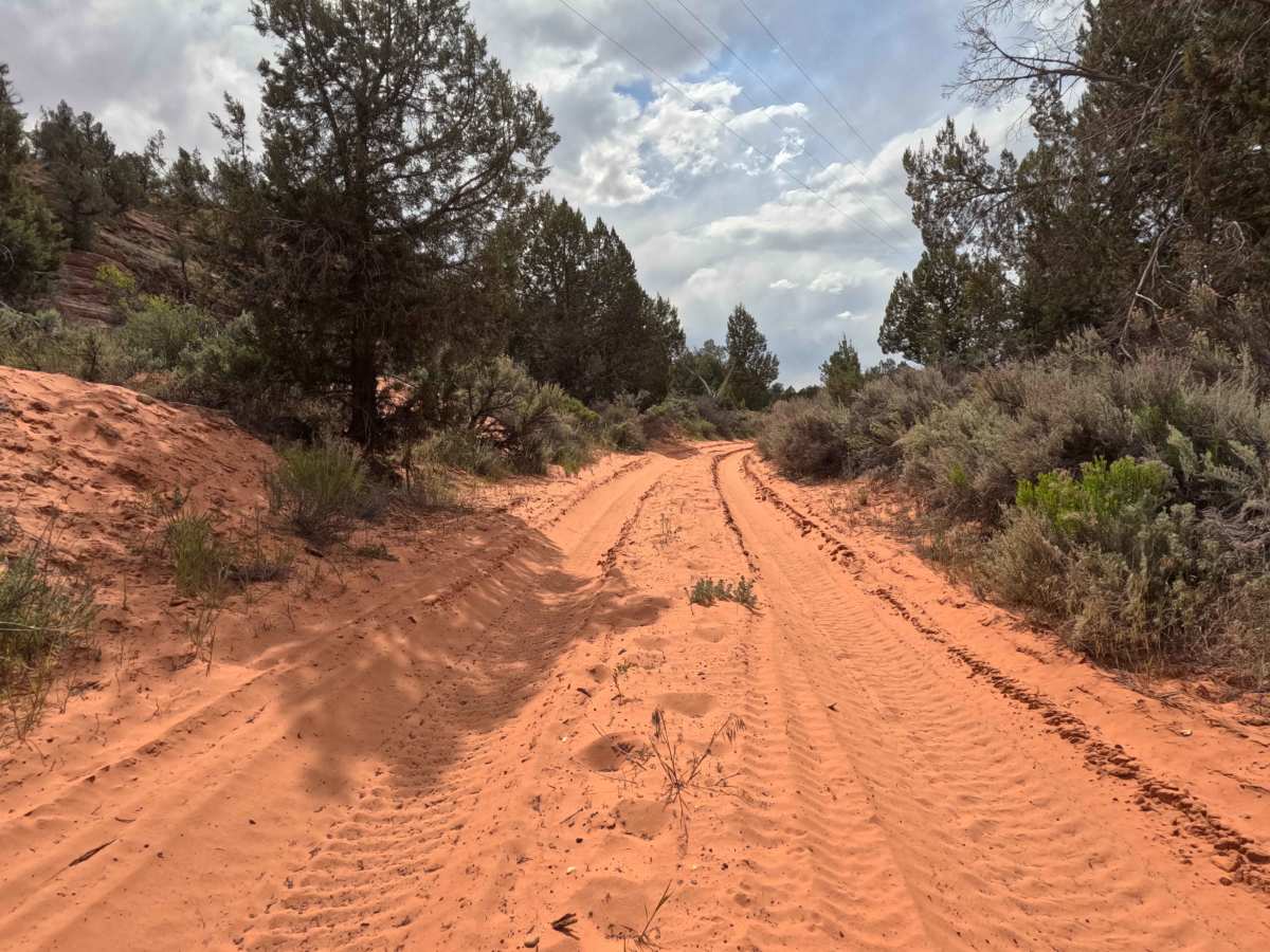 BLM 64 photo 5