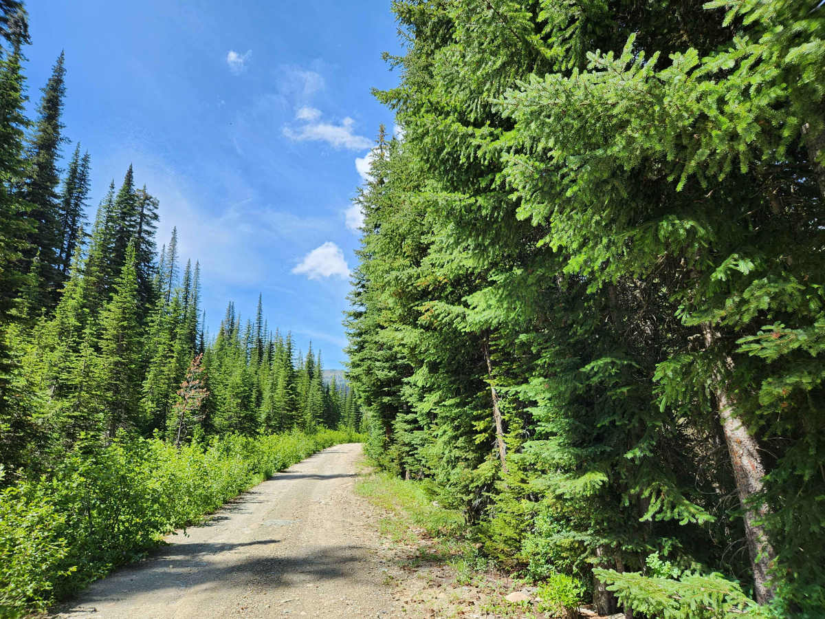 Bluebird Creek photo 4