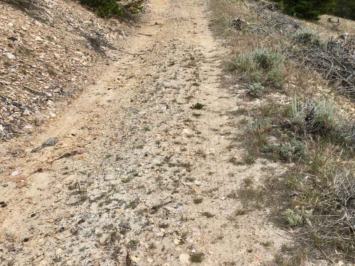 White Pine Ridge Route photo 4