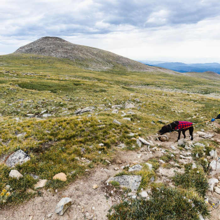 Near Mount Audubon and Paiute East