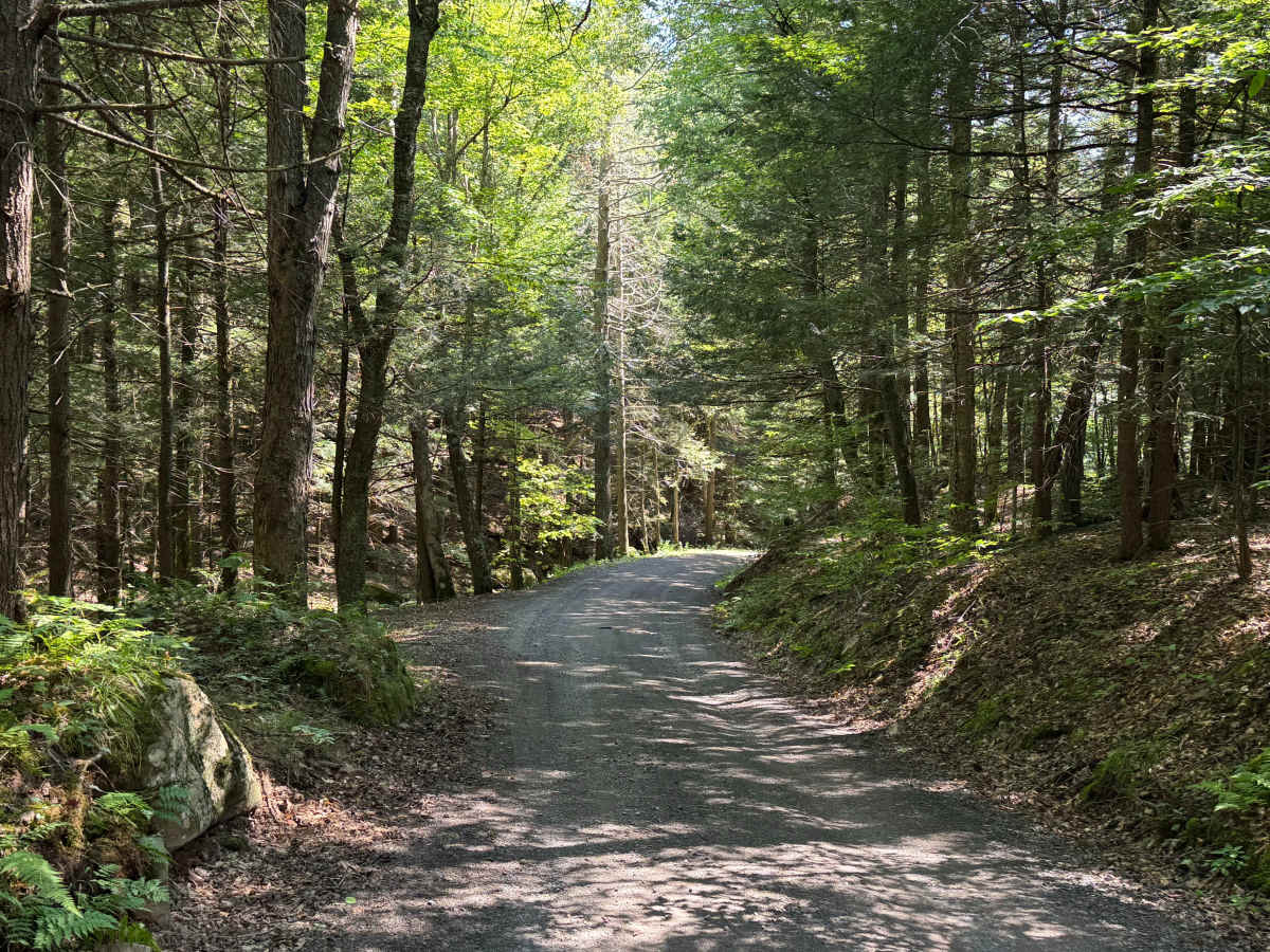 Mill Hollow Road photo 4