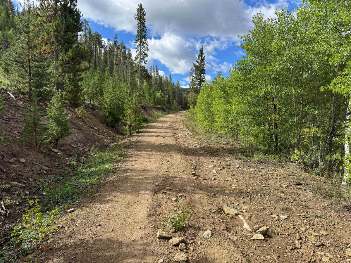 Peabody Placer photo 5