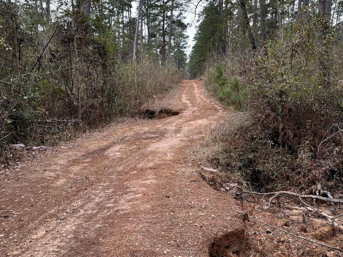 Moran - FS 222A trail photo