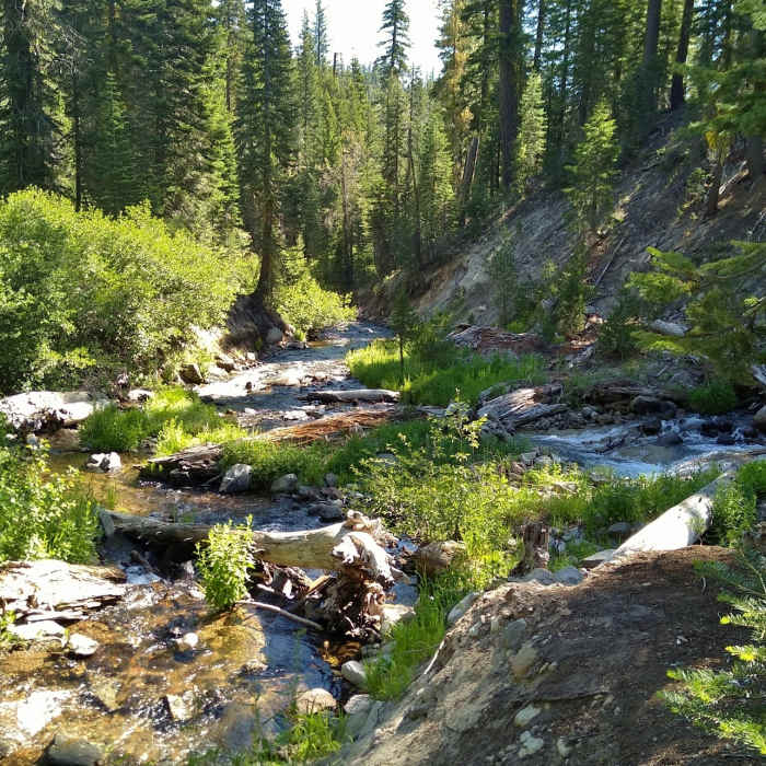 Near Summit Lake to Corral Meadow
