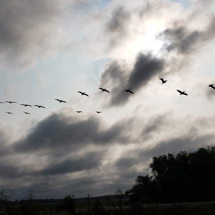 Near Western Pool Loop