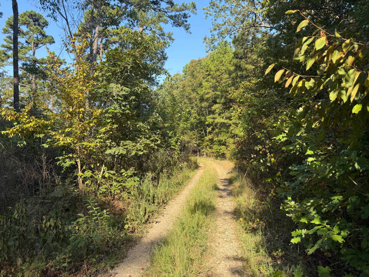 Coss trail photo