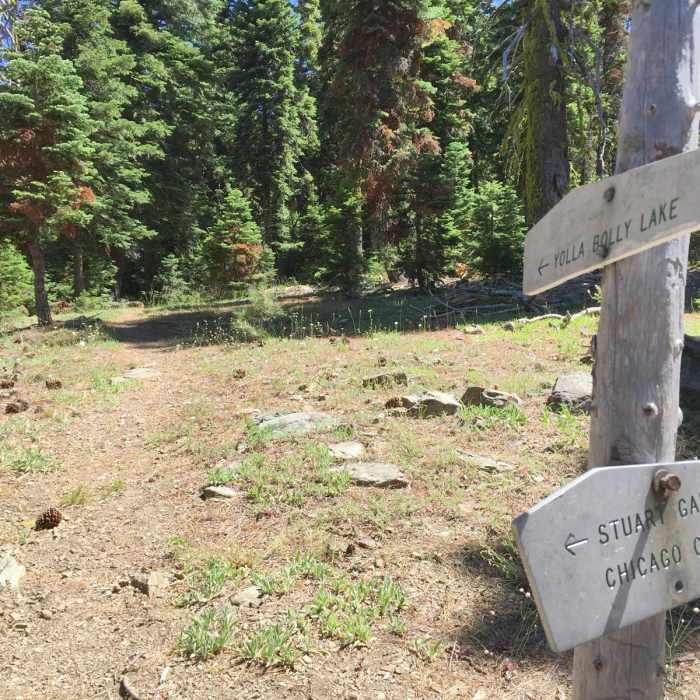 Near North Yolla Bolly