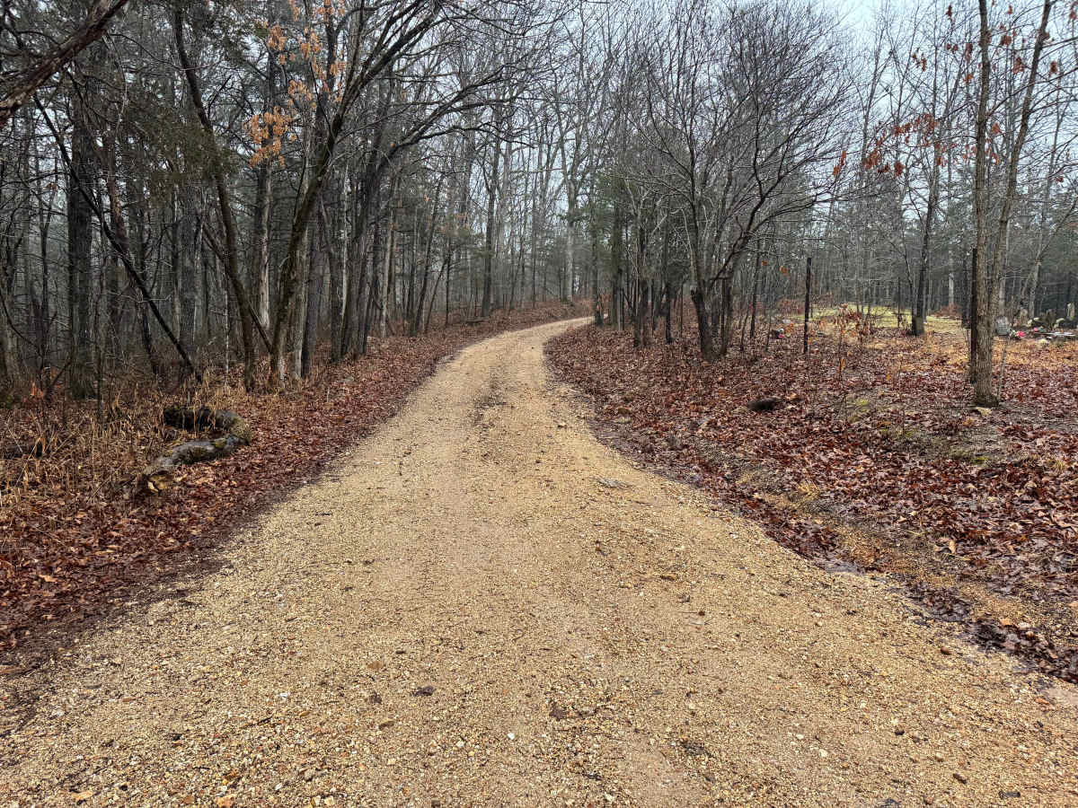 Thomas Lane photo 3